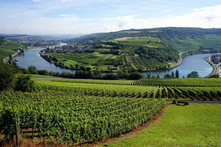 Das Moseltal